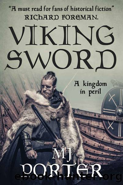 Viking Sword by M J Porter
