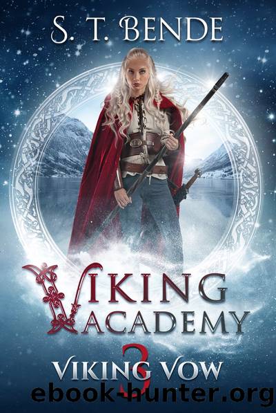 Viking Vow by S. T. Bende