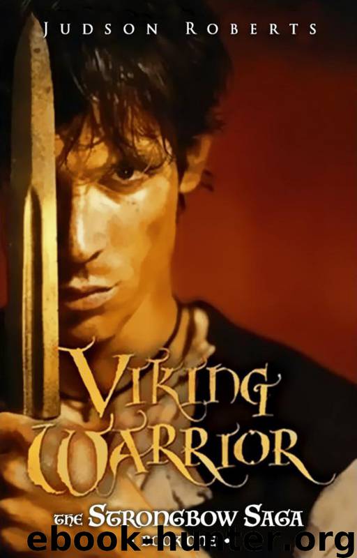 Viking Warrior by Judson Roberts