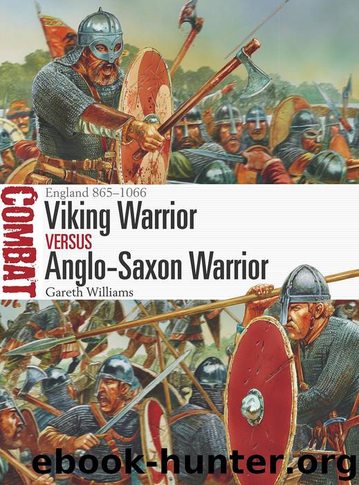 Viking Warrior vs Anglo-Saxon Warrior by Gareth Williams