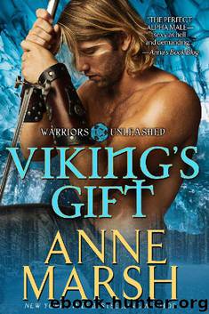 Viking's Gift: A Paranormal Shifter Biker Romance (Warriors Unleashed Book 4) by Anne Marsh