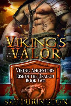 Viking's Valor (Viking Ancestors: Rise of the Dragon Book 2) by Sky Purington