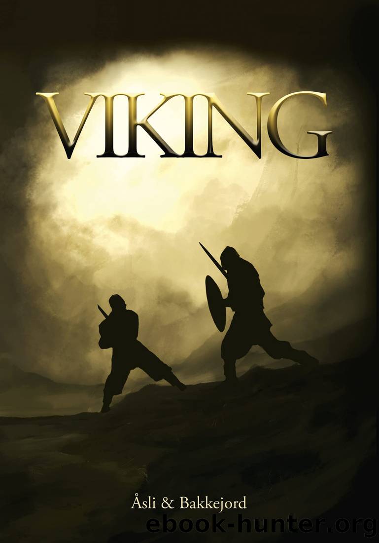 Viking: A historical fiction adventure (Two kings Book 1) by Ole Åsli & Tony Bakkejord