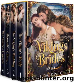 Vikings' Brides 4 Book Box Set by Jessica Knight