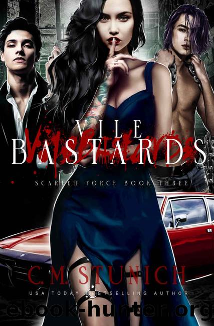 Vile Bastards by Stunich C.M