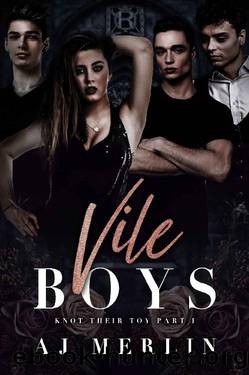 Vile Boys: A dark omegaverse academy romance (Knot Their Toy Book 1) by AJ Merlin