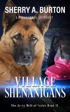 Village Shenanigans: Book 11 in the Jerry McNeal series (A Paranormal Snapshot) by Sherry A. Burton