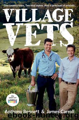 Village Vets by Anthony Bennett