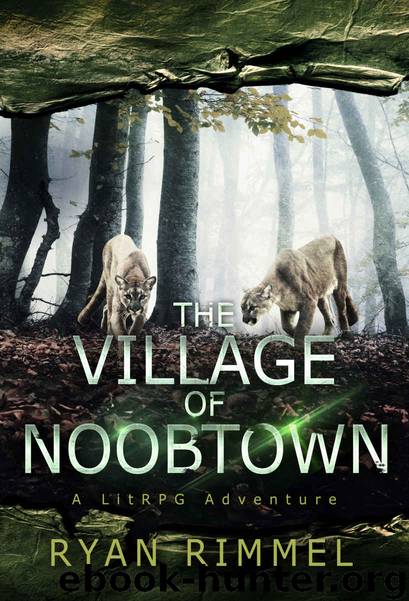 Village of Noobtown: A LitRPG Adventure (Mayor of Noobtown Book 2) by Ryan Rimmel