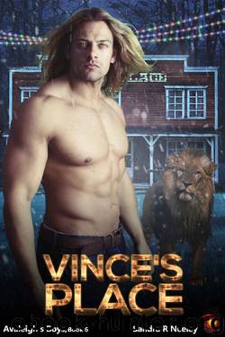 Vince's Place by Sandra R Neeley