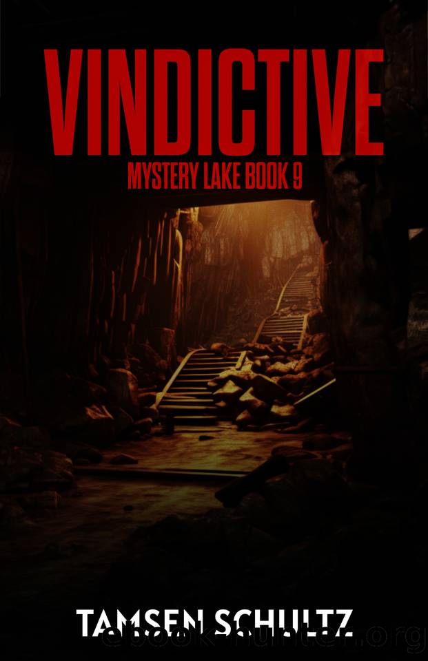 Vindictive (Mystery Lake Series Book 9) by Tamsen Schultz