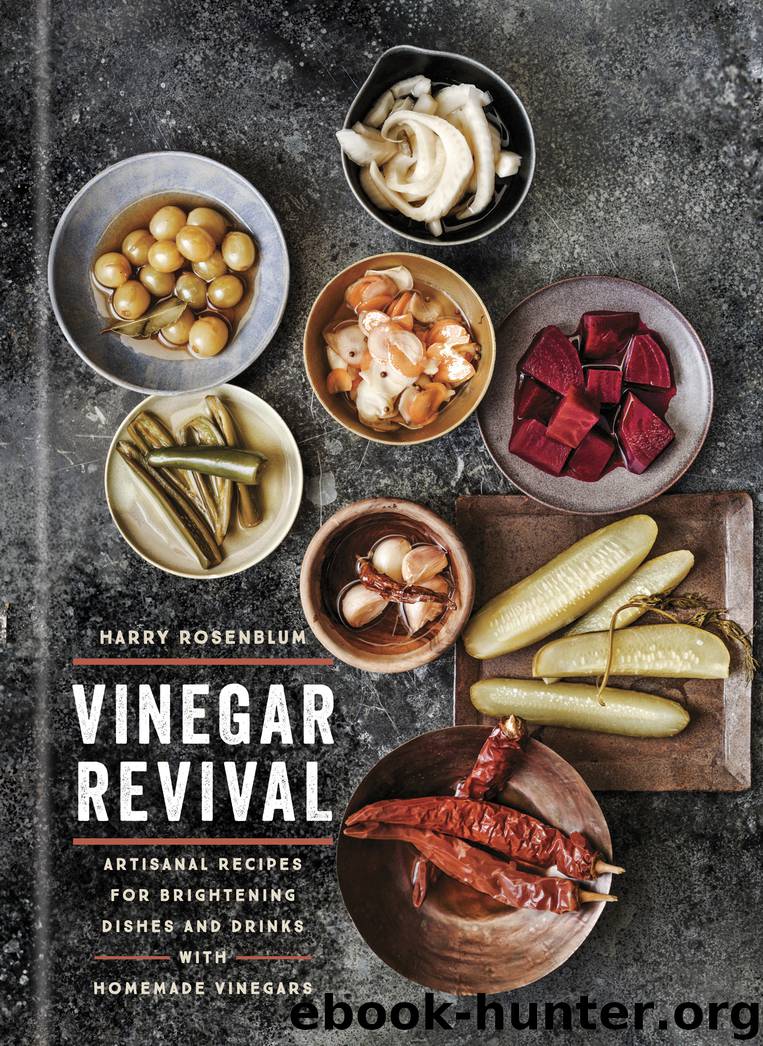Vinegar Revival by Harry Rosenblum