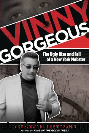 Vinny Gorgeous by Anthony M. DeStefano