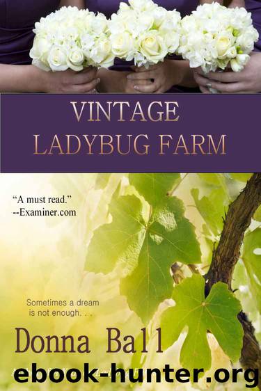 Vintage Ladybug Farm by Donna Ball