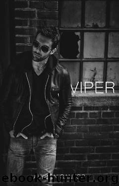 Viper (NSB Book 3) by Alyson Santos