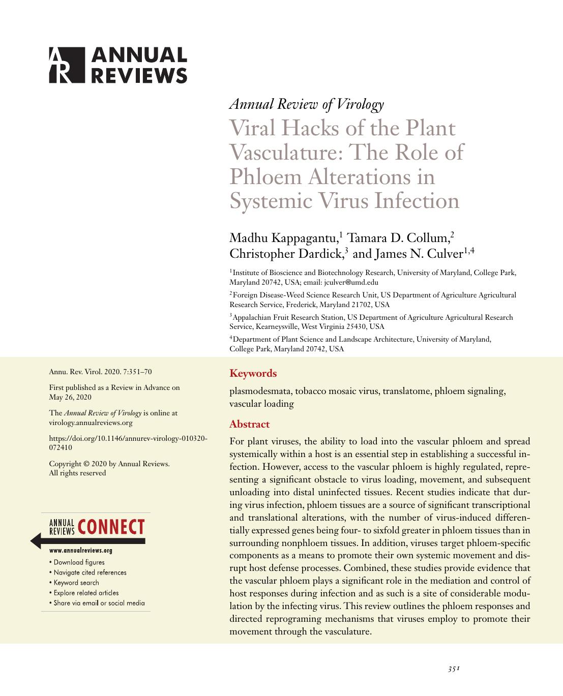 Viral Hacks of the Plant Vasculature: The Role of Phloem Alterations in Systemic Virus Infection by Madhu Kappagantu Tamara D. Collum Christopher Dardick James N. Culver