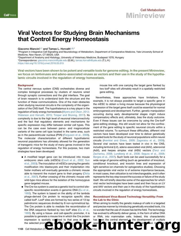 Viral Vectors for Studying Brain Mechanisms that Control Energy Homeostasis by Giacomo Mancini & Tamas L. Horvath