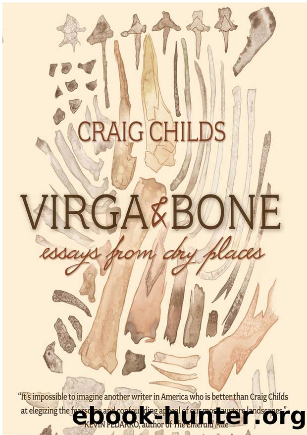 Virga & Bone: Essays From Dry Places by Craig Childs