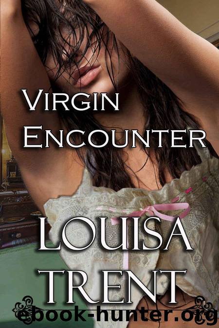 Virgin Encounter (Virgin Series Book 1) by Louisa Trent