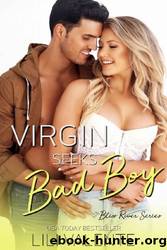 Virgin Seeks Bad Boy by Lili Valente