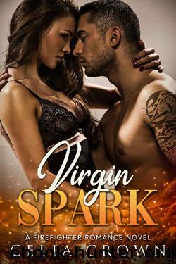 Virgin Spark by Celia Crown