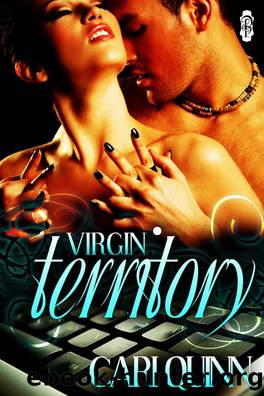 Virgin Territory by Cari Quinn