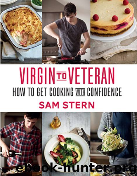 Virgin to Veteran by Sam Stern