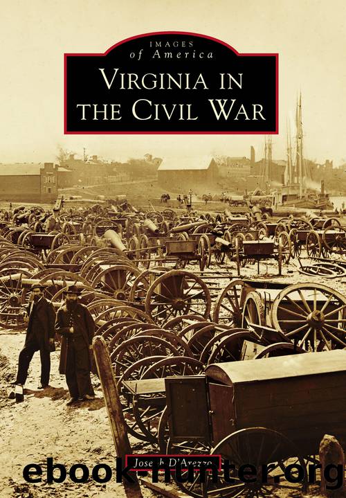 Virginia in the Civil War by D'Arezzo Joseph;