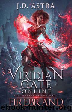 Viridian Gate Online: Firebrand: A litRPG Adventure (The Firebrand Series Book 1) by J.D. Astra & James Hunter