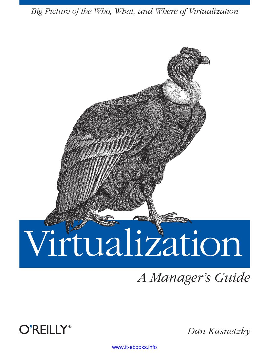 Virtualization: A Manager's Guide: Big picture of the who, what, and where of virtualization by Dan Kusnetzky