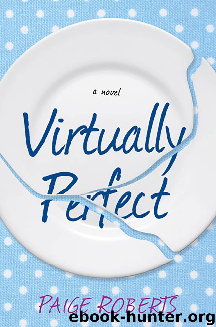 Virtually Perfect by Paige Roberts