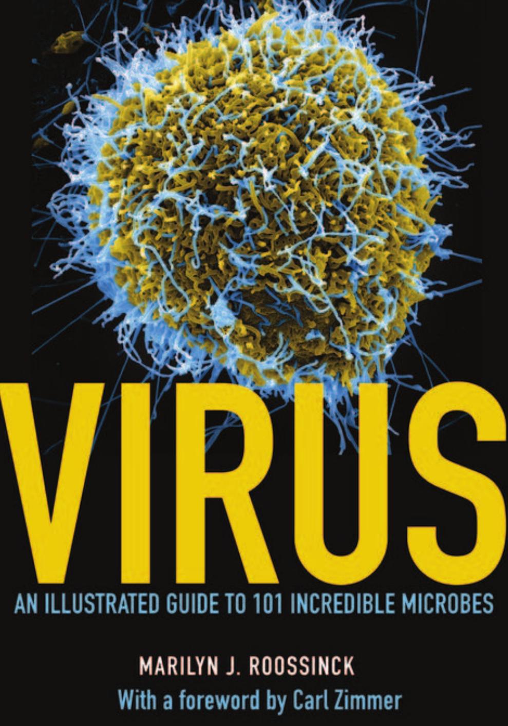 Virus An Illustrated Guide to 101 Incredi by Marilyn J. Roossinck