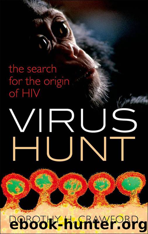 Virus Hunt by Crawford Dorothy H.;