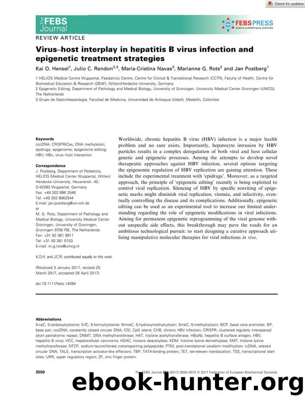 Virusâhost interplay in hepatitis B virus infection and epigenetic treatment strategies by Unknown