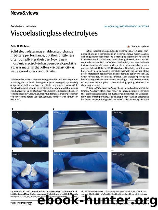 Viscoelastic glass electrolytes by Felix H. Richter