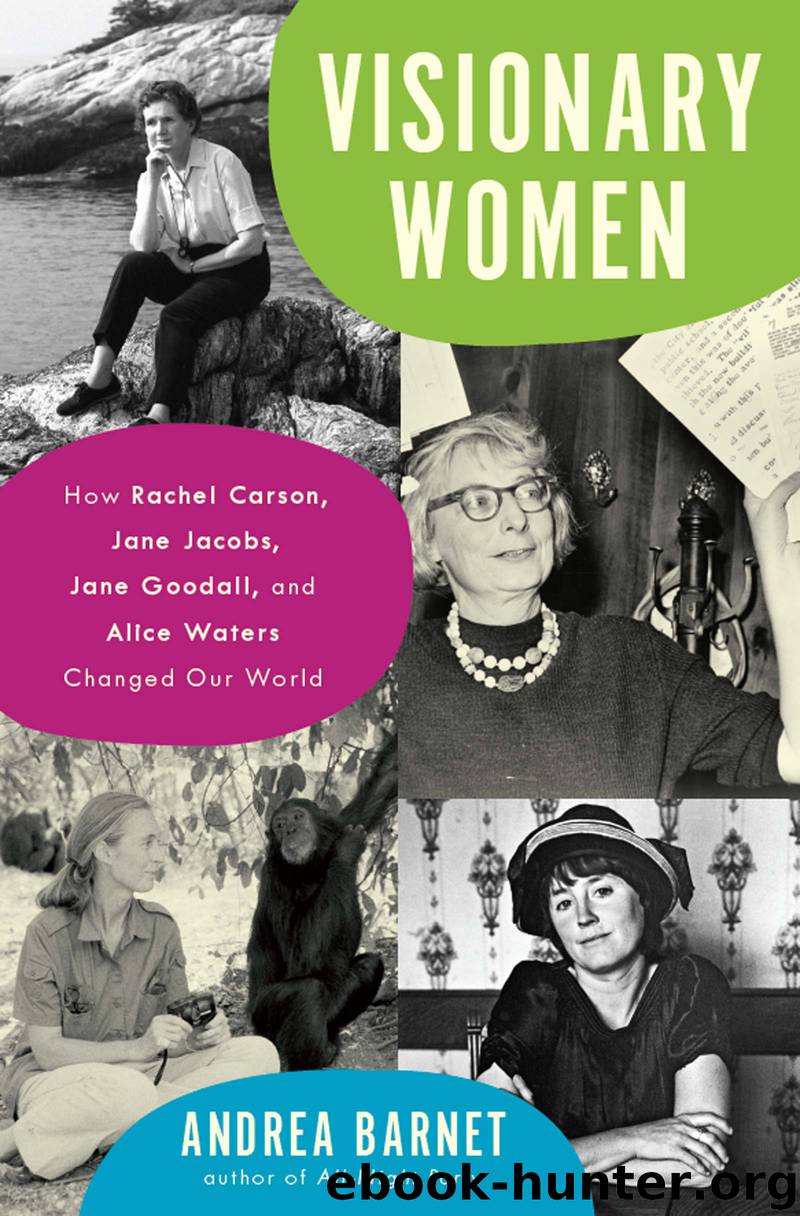 Visionary Women by Andrea Barnet