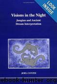 Visions in Night by Joel Covitz