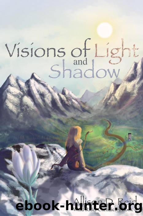 Visions of Light and Shadow (Wind Rider Chronicles, #4) by Allison D. Reid