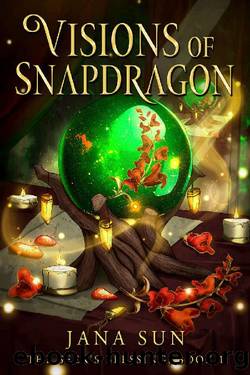 Visions of Snapdragon: The Seer's Blessing: Book 1 by Jana Sun