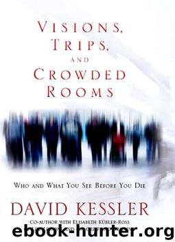 Visions, Trips, and Crowded Rooms by David Kessler
