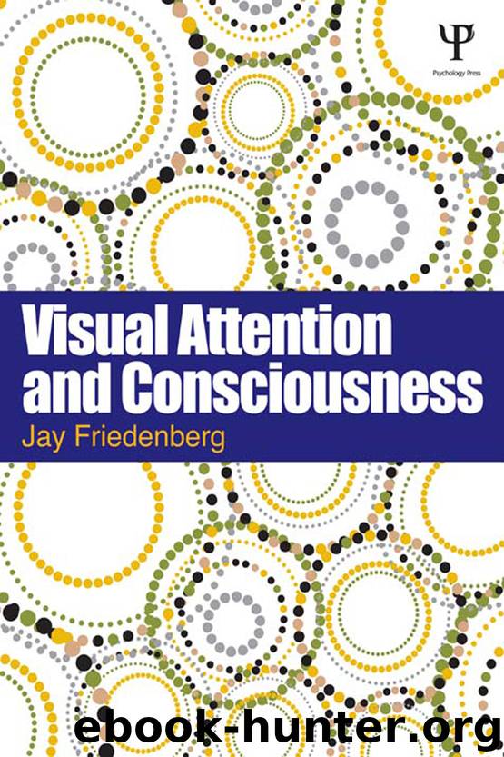 Visual Attention and Consciousness by Friedenberg Jay;