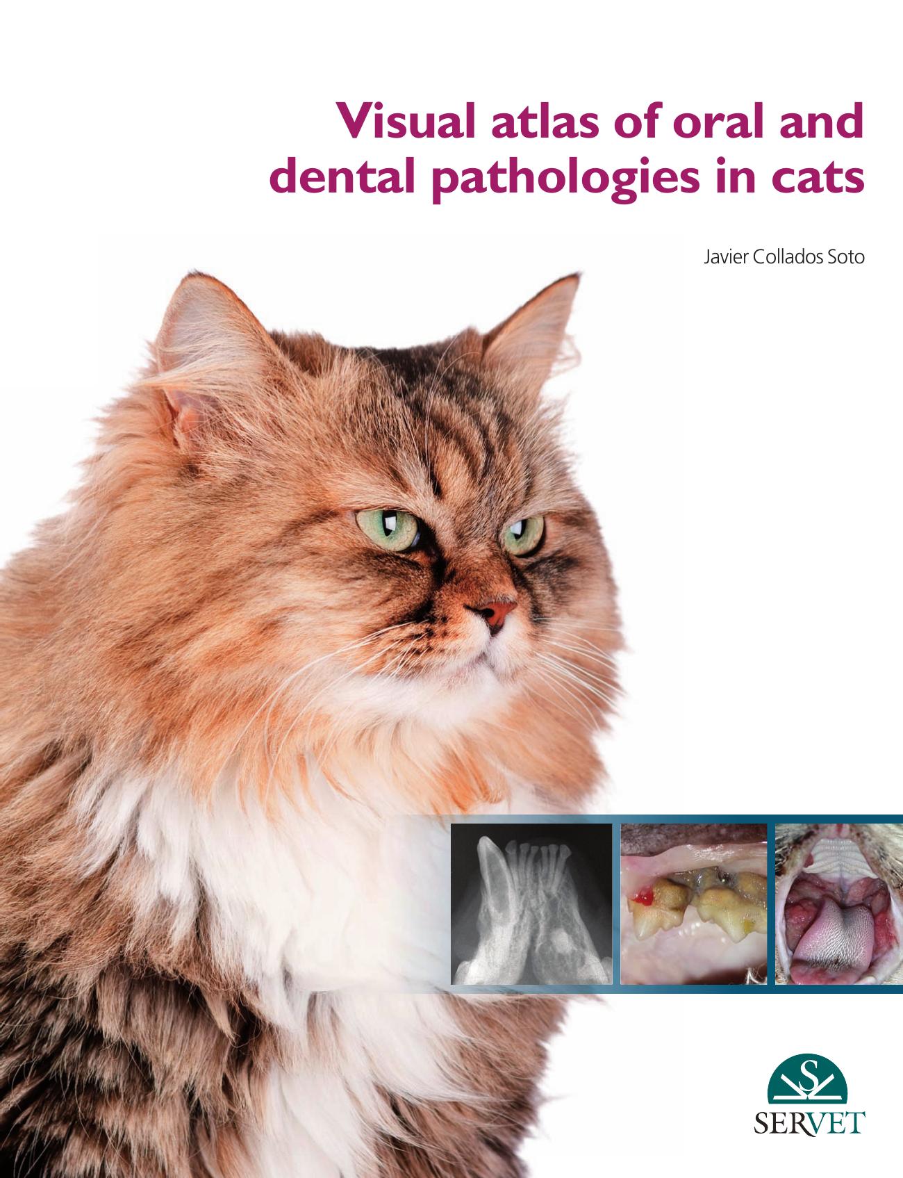 Visual atlas of oral and dental pathologies in cats by Collados Soto Javier