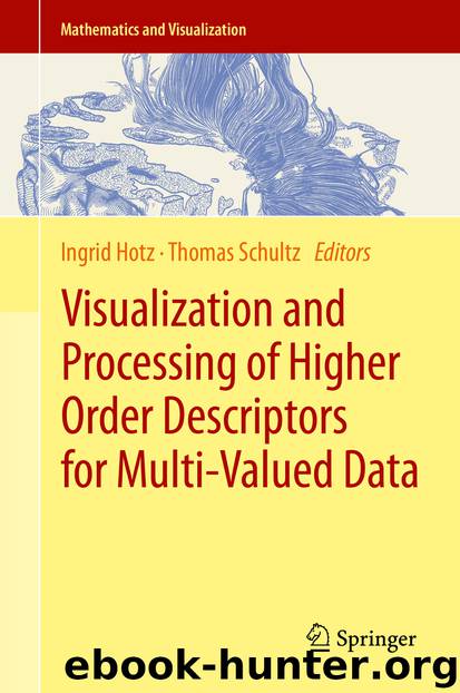 Visualization and Processing of Higher Order Descriptors for Multi-Valued Data by Ingrid Hotz & Thomas Schultz