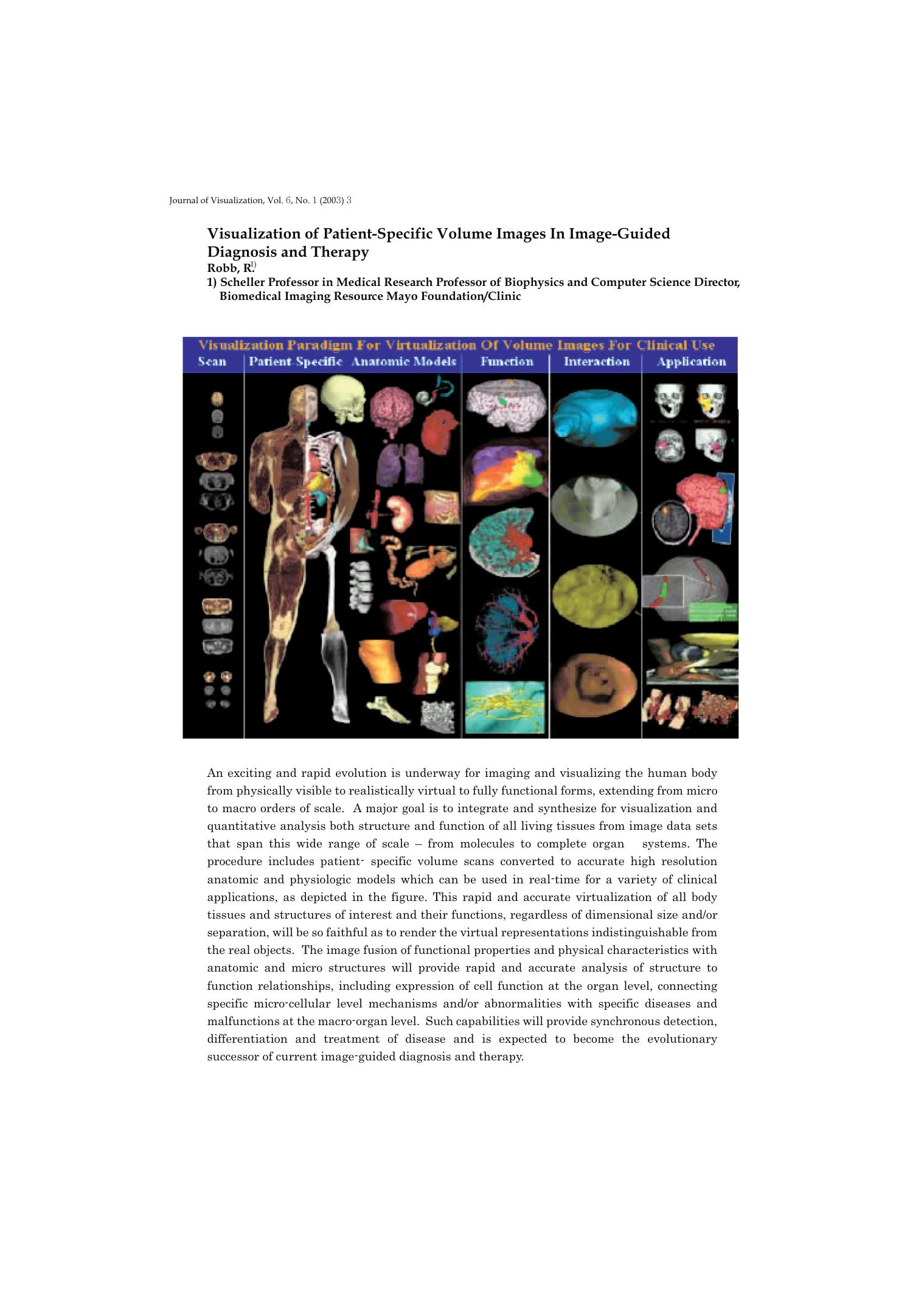 Visualization of patient-specific volume images in image-guided diagnosis and therapy by Unknown