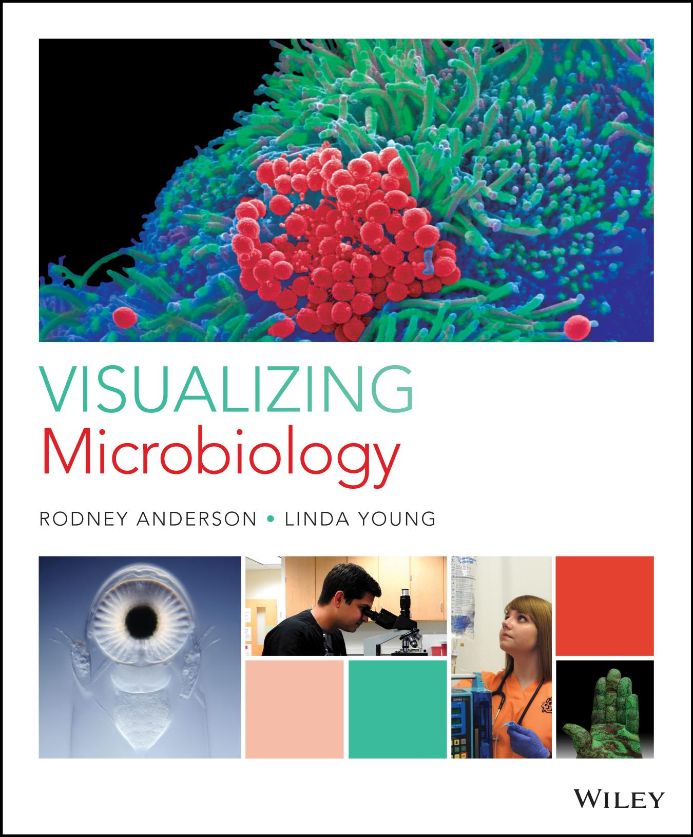Visualizing Microbiology: A Healthy Perspective by Rodney Anderson Linda Young