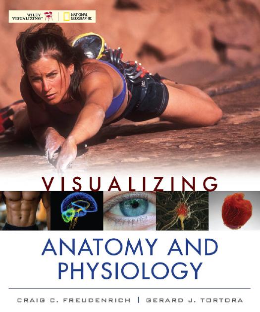 Visualizing anatomy and physiology by Tortora Gerard J.;Freudenrich Craig C