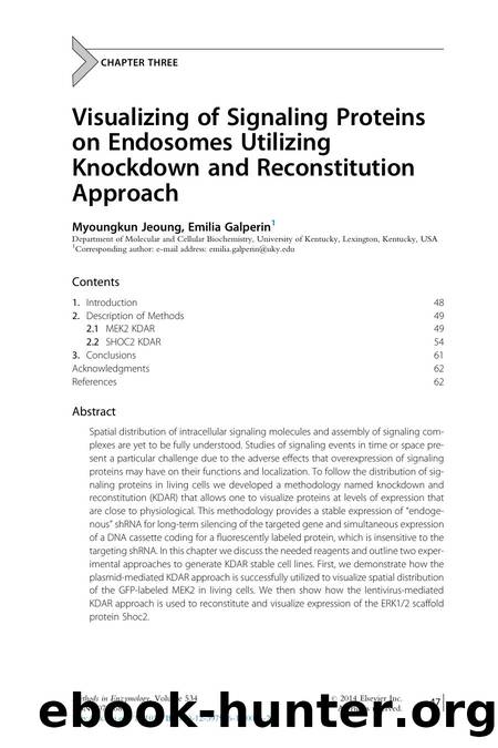 Visualizing of Signaling Proteins on Endosomes Utilizing Knockdown and Reconstitution Approach by Myoungkun Jeoung & Emilia Galperin