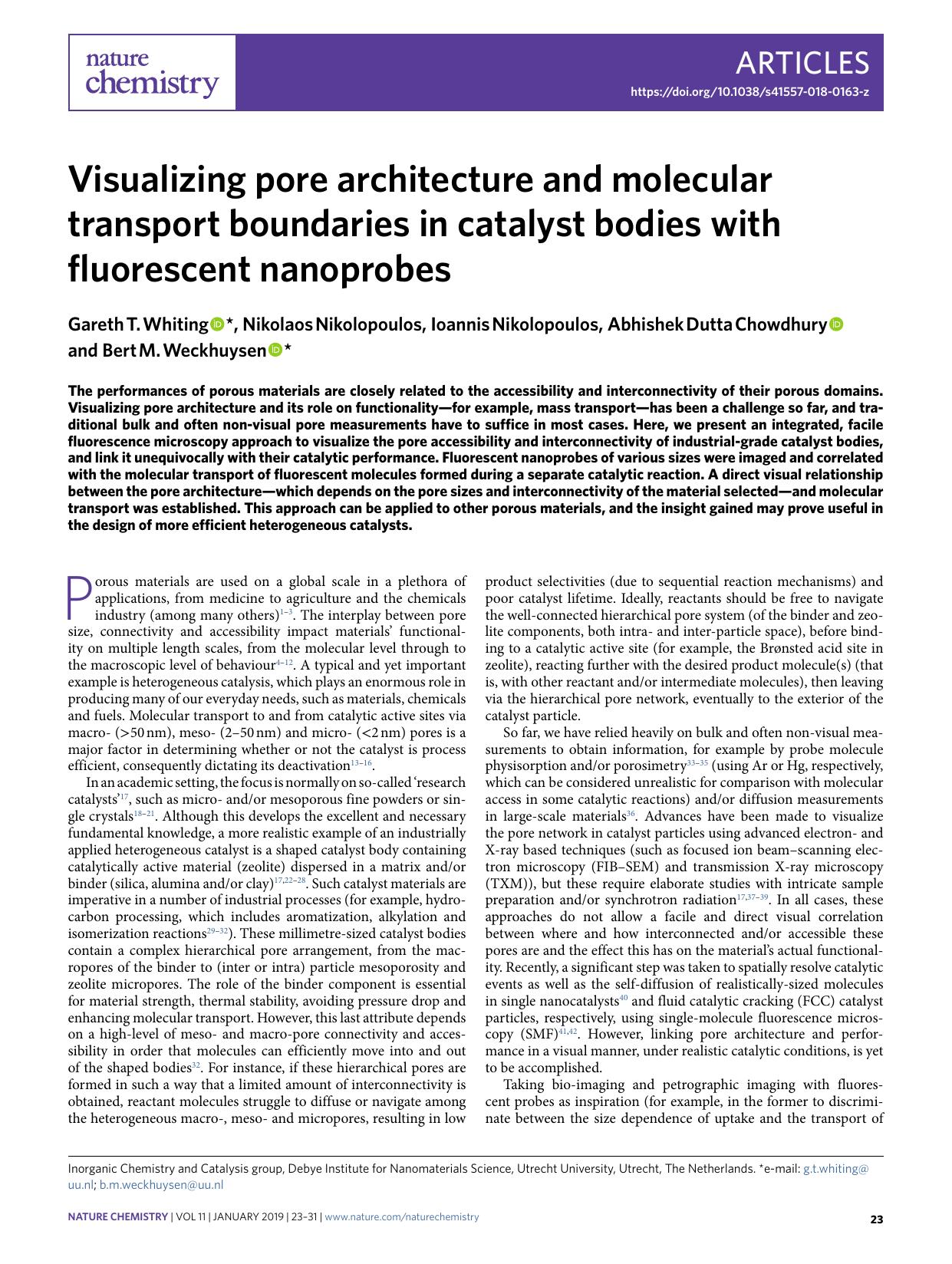 Visualizing pore architecture and molecular transport boundaries in catalyst bodies with fluorescent nanoprobes by unknow