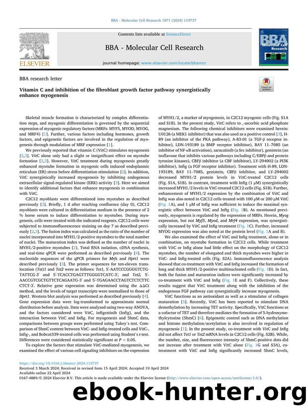 Vitamin C and inhibition of the fibroblast growth factor pathway synergistically enhance myogenesis by Xiajie Fu & Masayuki Funaba