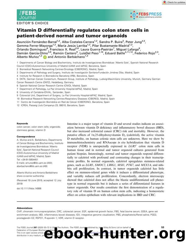 Vitamin D differentially regulates colon stem cells in patientâderived normal and tumor organoids by Unknown